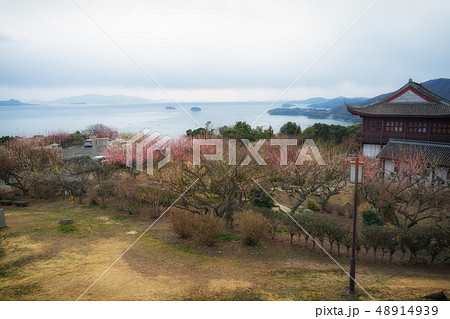 世界の梅公園 御津自然観察公園 世界の梅公園 御津自然観察公園 48914939