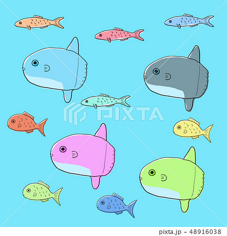 Colorful Fish Solid Paint Stock Illustration