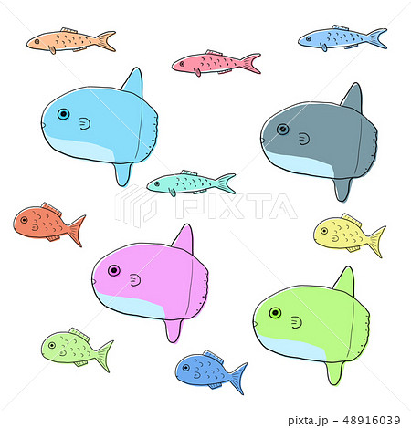 Colorful Fish Solid Paint Material Stock Illustration