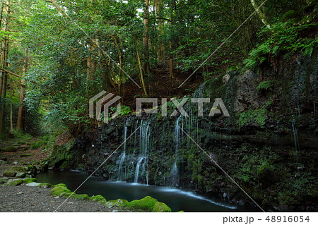箱根　小涌谷　パワースポット　千条の滝 48916054