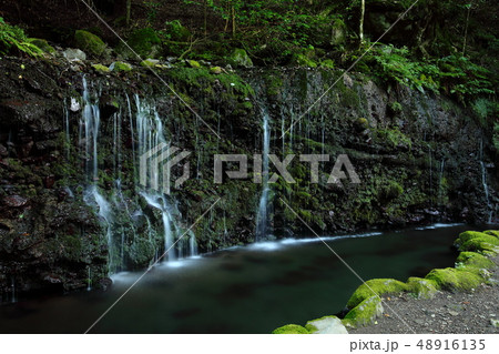 箱根　小涌谷　パワースポット　千条の滝 48916135