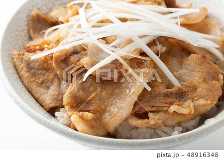 豚丼 豚丼 48916348