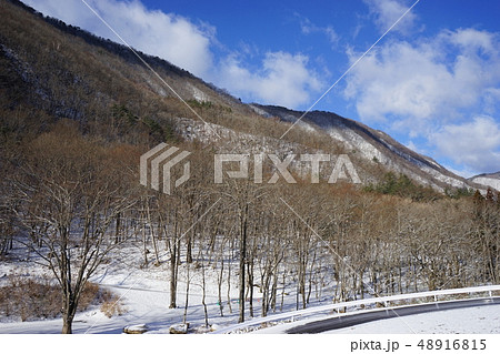 新雪の朝岩泉龍泉洞 48916815