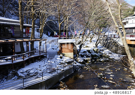 新雪の朝岩泉龍泉洞 新雪の朝岩泉龍泉洞 48916817