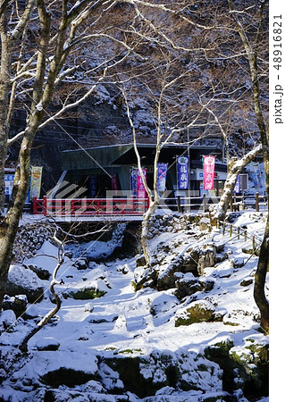 新雪の朝岩泉龍泉洞 48916821