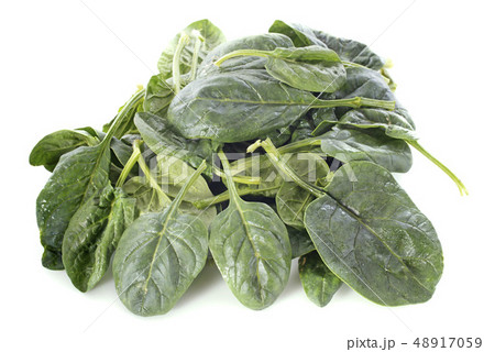 raw spinach 48917059