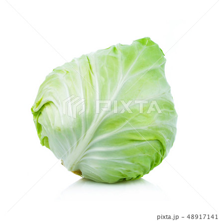 Cabbage (Brassica oleracea var)on white background 48917141