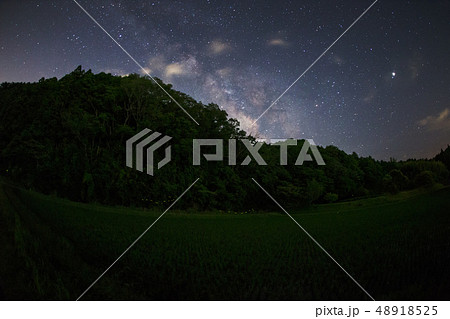 firefly and milky way  48918525
