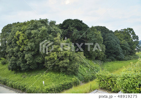 アンド山古墳　崇神天皇陵　陪塚　奈良 48919275
