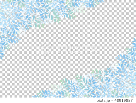 清新樹葉、嫩葉、綠葉、新鮮綠葉的形象 48919887