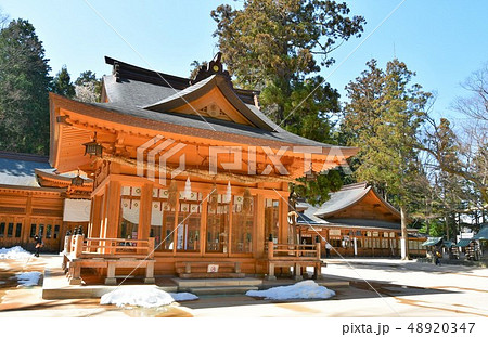 穂高神社　信州安曇野　穂高 48920347