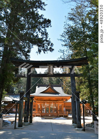穂高神社 信州安曇野 穂高 穂高神社 信州安曇野 穂高 48920350