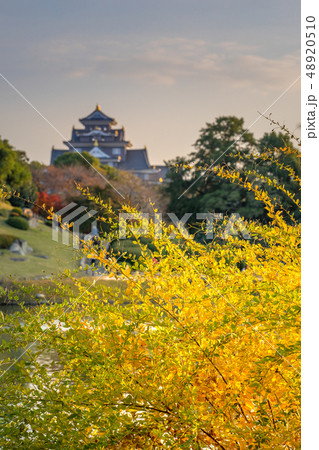 岡山後楽園から、岡山城を見る!(岡山県岡山市北区)※作品コメント欄に撮影位置 岡山後楽園から、岡山城を見る!(岡山県岡山市北区)※作品コメント欄に撮影位置 48920510