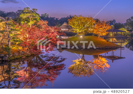 岡山後楽園、夜間特別開園「幻想庭園」（岡山県岡山市北区）※作品コメント欄に撮影位置 48920527