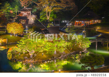 岡山後楽園、夜間特別開園「幻想庭園」（岡山県岡山市北区）※作品コメント欄に撮影位置 48920558