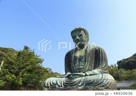 鎌倉大仏 48920636