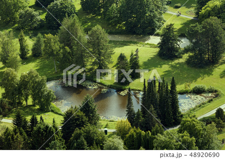 Aerial view lake in the summer park 48920690
