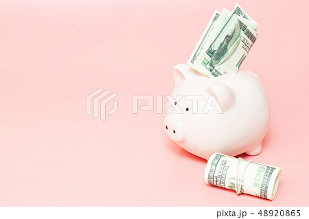 Piggy bank money on blue background Piggy bank money on blue background 48920865