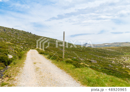 The walking track to Kosciuszko peak, in 48920965