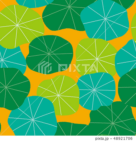 パターン 蓮 蓮の葉 橙 オレンジ パターン 蓮 蓮の葉 橙 オレンジ 48921706