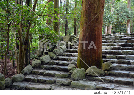 伊勢神宮の石段 伊勢神宮の石段 48921771
