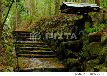 雨の手水舎と石段(奈良市山町) 雨の手水舎と石段(奈良市山町) 48922237