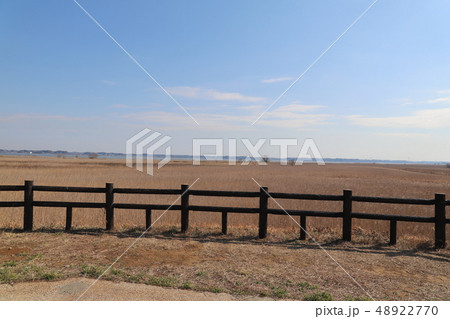 妙岐の鼻湿原 妙岐の鼻湿原 48922770