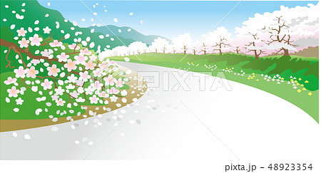 桜の道 48923354