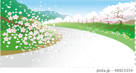 桜の道 48923354