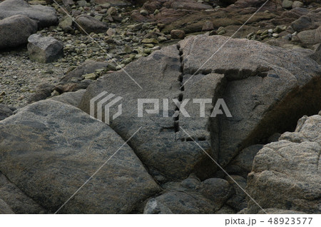 名古屋城築城の石垣採石地(愛知県蒲郡市西浦町) 名古屋城築城の石垣採石地(愛知県蒲郡市西浦町) 48923577
