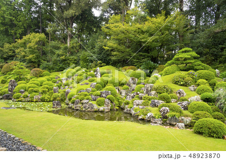 井伊直虎ゆかりの龍潭寺庭園（静岡県浜松市） 48923870