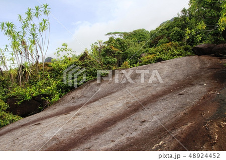 Mountain landscape. Green tropical trees on the mountain slopes. Mountain landscape. Green tropical trees on the mountain slopes. 48924452