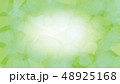 イメージバックグラウンド/グリーン 48925168