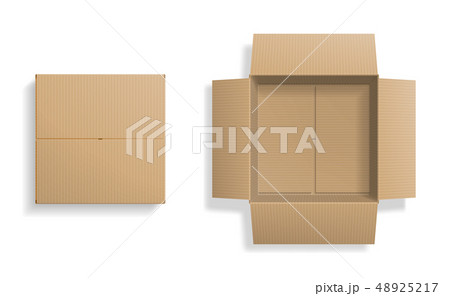 Realistic cardboard box set, opened and closed top Realistic cardboard box set, opened and closed top 48925217