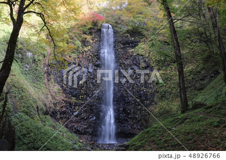 【紅葉】玉簾の滝 【紅葉】玉簾の滝 48926766