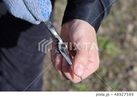 Check the pruning blade for sharpness. Trimming Check the pruning blade for sharpness. Trimming 48927589
