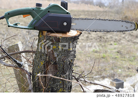 sawn electric sawing tree 48927818