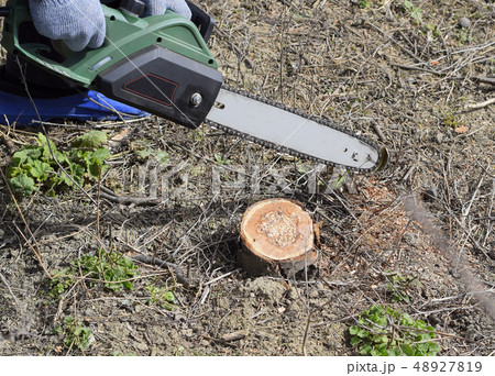 sawn electric sawing tree sawn electric sawing tree 48927819