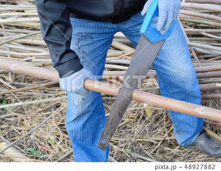 Sawing with a hand saw of a wood branch. Sawing with a hand saw of a wood branch. 48927882