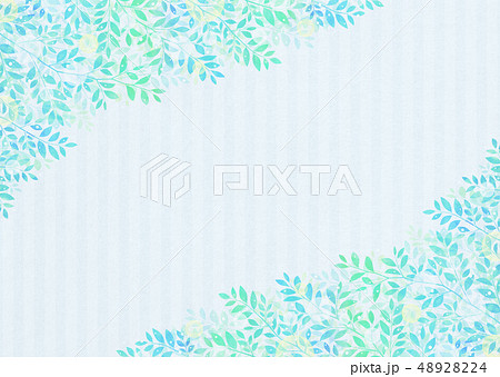爽やかな木の葉のイメージ 若葉 青葉 新緑 爽やかな木の葉のイメージ 若葉 青葉 新緑 48928224