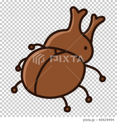 A simple and cute hand-drawn illustration of a beetle with a main line A simple and cute hand-drawn illustration of a beetle with a main line 48929494