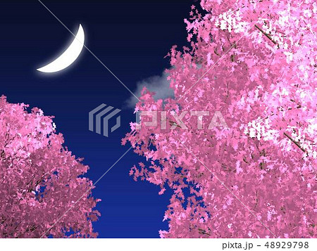 三日月と綺麗な夜の桜のイラスト素材