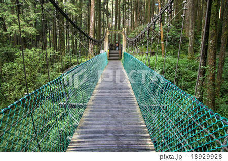 The green bridge in forest Alishan at taiwan The green bridge in forest Alishan at taiwan 48929928
