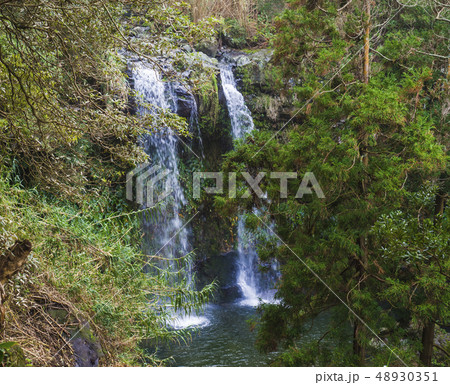 Beautiful double waterfall at Salto da Farinha falling from rocks in lush green rainforest Beautiful double waterfall at Salto da Farinha falling from rocks in lush green rainforest 48930351