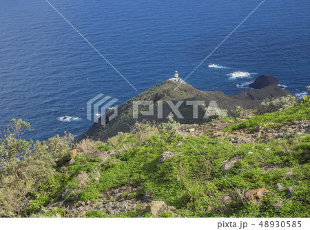 view on Faro de Anaga lighthouse with green hills blue sea atlantic ocean scenery in anaga mountain view on Faro de Anaga lighthouse with green hills blue sea atlantic ocean scenery in anaga mountain 48930585