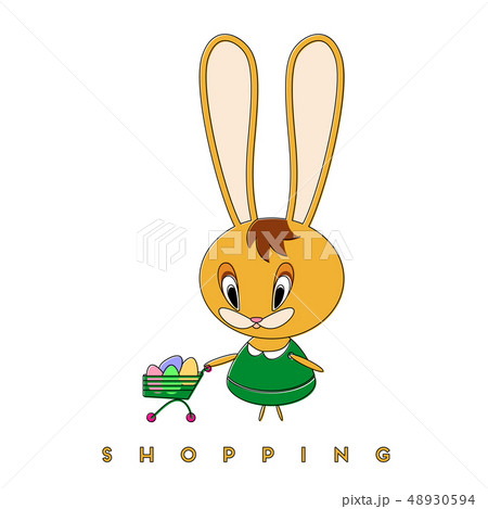Rabbit and shopping 48930594