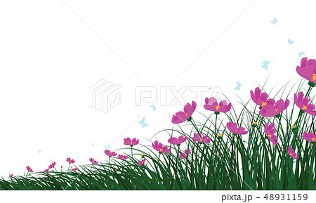 Meadow color background 48931159