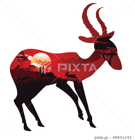Sunset Landscape with Antelopes Sunset Landscape with Antelopes 48931242