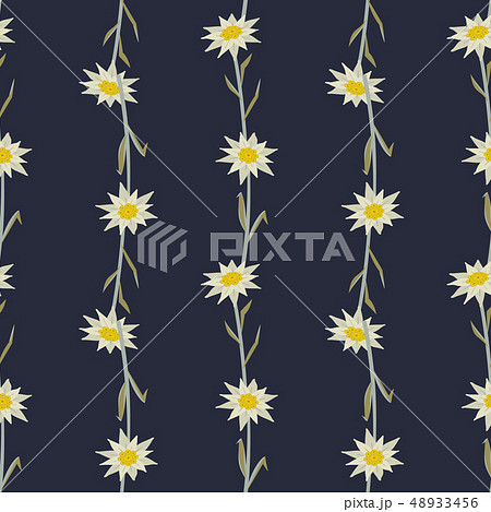 Floral Hand Drawn Seamless Pattern With Edelweissのイラスト素材