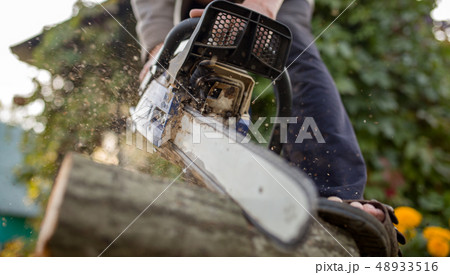 Image of man with chainsaw sawing log in forestの写真素材 [48933516] - PIXTA